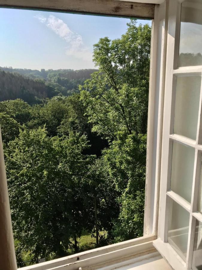 Villa Erbschloe Remscheid Luaran gambar